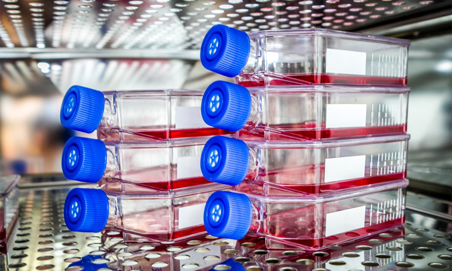 生物制藥中細(xì)胞培養(yǎng) 生物制藥中細(xì)胞培養(yǎng)