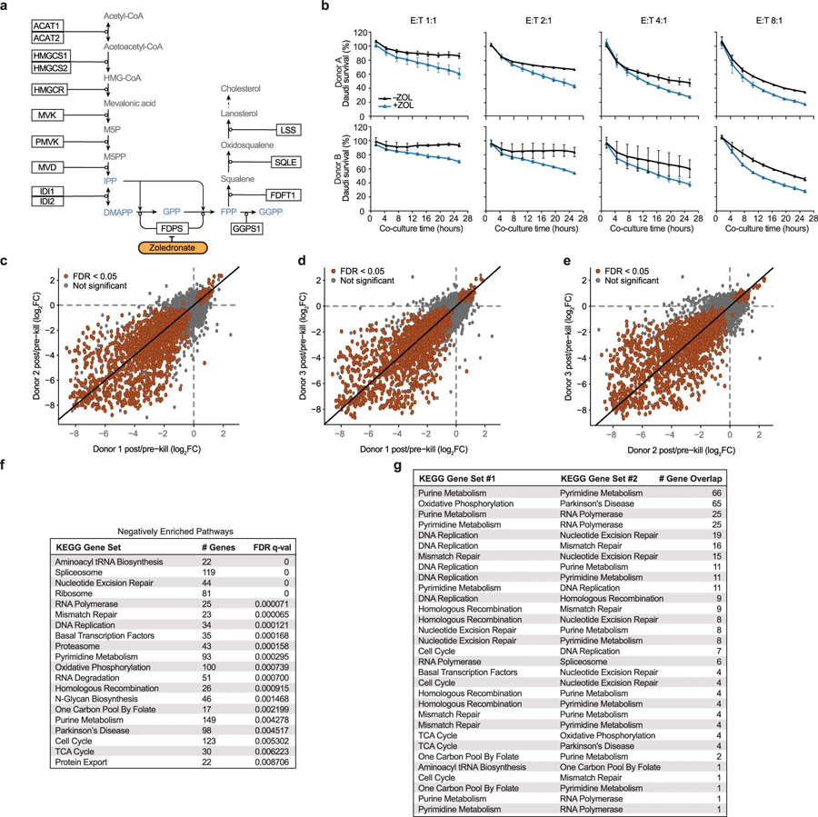 甲羥戊酸途徑效應(yīng)、共培養(yǎng)篩選一致性和基因集富集分析（GSEA）