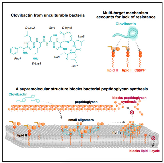 機(jī)理模式圖 機(jī)理模式圖)