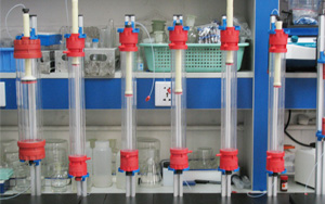 降“層析介質(zhì)”成本，增“分離純化”效率