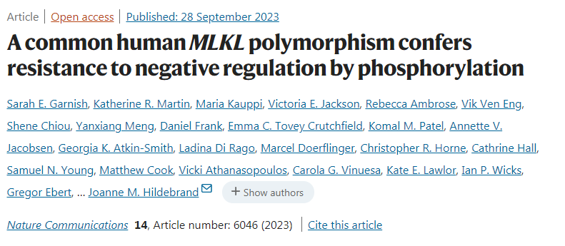 一種常見的人類多態(tài)MLKL通過磷酸化賦予負面調(diào)控抗性 一種常見的人類多態(tài)MLKL通過磷酸化賦予負面調(diào)控抗性