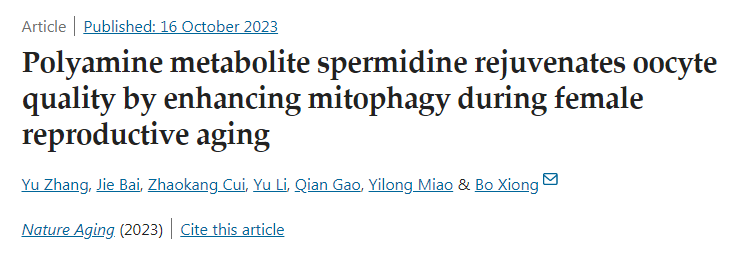 多胺代謝產(chǎn)物亞精胺在女性生殖衰老過(guò)程中通過(guò)增強(qiáng)線(xiàn)粒體自噬使卵母細(xì)胞質(zhì)量恢復(fù)活力