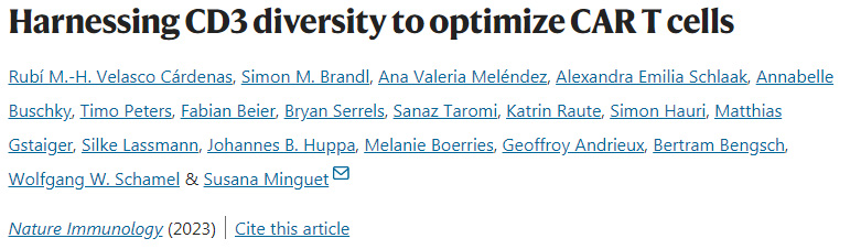 利用CD3多樣性優(yōu)化CAR T細胞 利用CD3多樣性優(yōu)化CAR T細胞