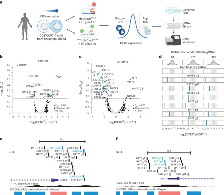 T細(xì)胞耗竭的特征是代謝重編程 T細(xì)胞耗竭的特征是代謝重編程