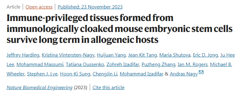 免疫隱形小鼠胚胎干細(xì)胞形成的免疫特權(quán)組織在異基因宿主中長期存活 免疫隱形小鼠胚胎干細(xì)胞形成的免疫特權(quán)組織在異基因宿主中長期存活