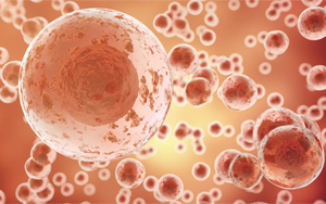 破解密碼：首次發(fā)現(xiàn)TP53突變蛋白的哪些特征對(duì)推動(dòng)癌癥生長至關(guān)重要