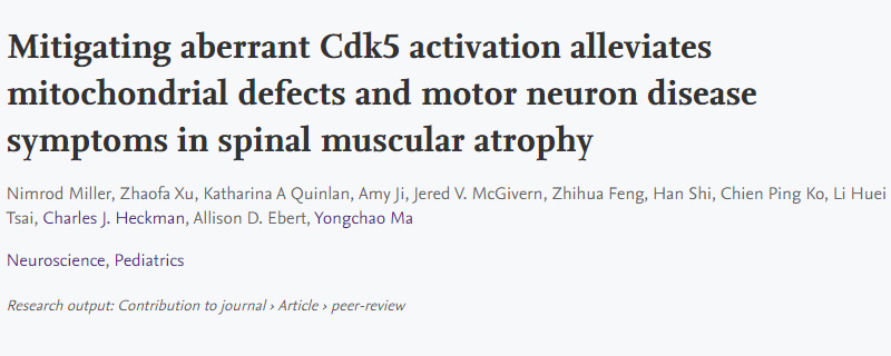 導(dǎo)致脊髓性肌萎縮癥(SMA)運動神經(jīng)元退化的新機制