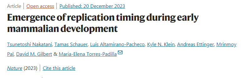 哺乳動(dòng)物早期發(fā)育過程中復(fù)制時(shí)機(jī)的出現(xiàn) 哺乳動(dòng)物早期發(fā)育過程中復(fù)制時(shí)機(jī)的出現(xiàn)