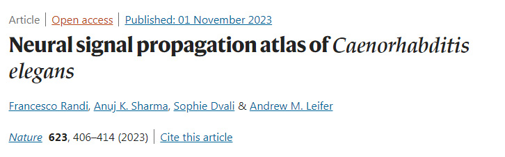 秀麗隱桿線蟲的神經(jīng)信號傳播圖譜 秀麗隱桿線蟲的神經(jīng)信號傳播圖譜