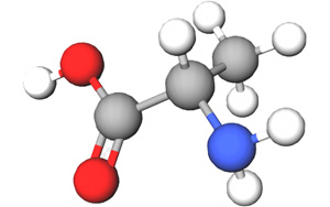 一個(gè)與血糖和睡眠有關(guān)的重要氨基酸