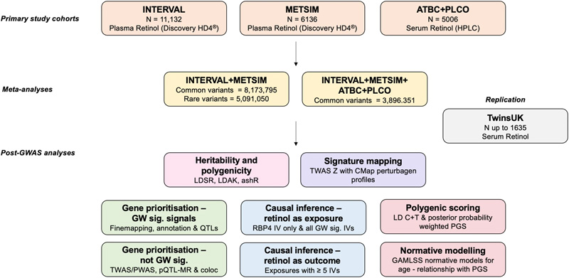 循環(huán)視黃醇全基因組分析研究設(shè)計(jì)綜述 循環(huán)視黃醇全基因組分析研究設(shè)計(jì)綜述