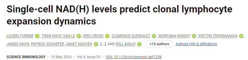 單細(xì)胞NAD(H)水平預(yù)測克隆性淋巴細(xì)胞擴(kuò)增動力學(xué) 單細(xì)胞NAD(H)水平預(yù)測克隆性淋巴細(xì)胞擴(kuò)增動力學(xué)