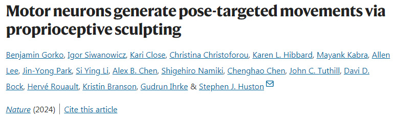 運(yùn)動神經(jīng)元通過本體感覺產(chǎn)生姿勢定向運(yùn)動 運(yùn)動神經(jīng)元通過本體感覺產(chǎn)生姿勢定向運(yùn)動