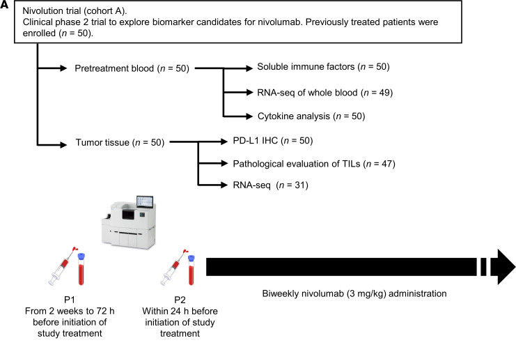 研究中包括的患者隊(duì)列和分析概述 研究中包括的患者隊(duì)列和分析概述