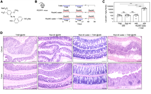 食品中廣泛使用的誘惑紅和落日黃，會(huì)誘導(dǎo)和加速結(jié)腸炎發(fā)展！