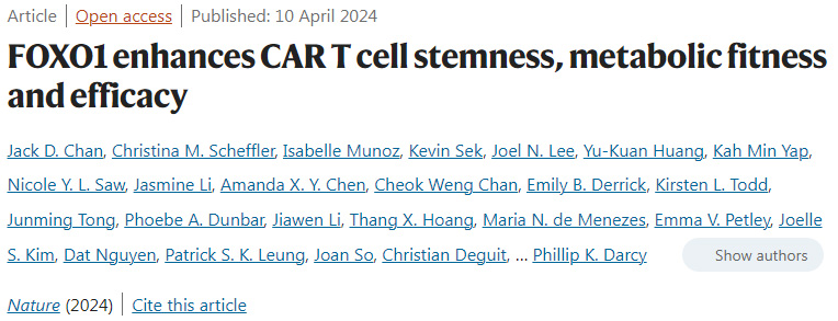 發(fā)育中的哺乳動(dòng)物大腦皮層中的多個(gè)平行細(xì)胞系 發(fā)育中的哺乳動(dòng)物大腦皮層中的多個(gè)平行細(xì)胞系