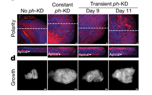 Nature：沒有基因突變，癌癥照樣發(fā)生？！
