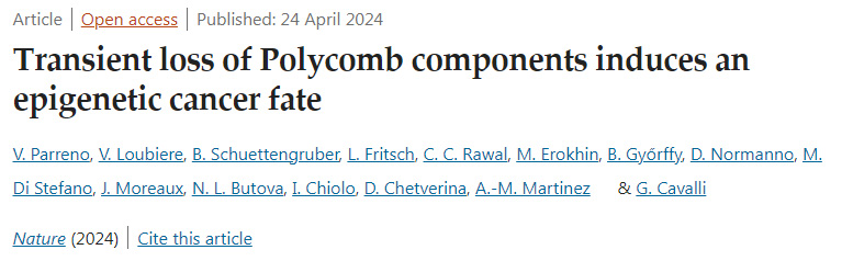 多梳蛋白的瞬時缺失誘發(fā)表觀遺傳性癌癥 多梳蛋白的瞬時缺失誘發(fā)表觀遺傳性癌癥