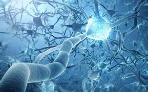 Science：當神經(jīng)元向一個方向流動