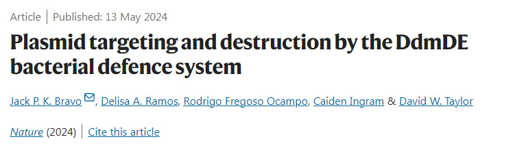 DdmDE細(xì)菌防御系統(tǒng)對(duì)質(zhì)粒的靶向和破壞 DdmDE細(xì)菌防御系統(tǒng)對(duì)質(zhì)粒的靶向和破壞