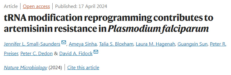 tRNA修飾重編程有助于惡性瘧原蟲對青蒿素的耐藥性 tRNA修飾重編程有助于惡性瘧原蟲對青蒿素的耐藥性