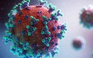 5天治愈90%重癥？減少70%新冠病毒感染？治療新冠特效藥怎么區(qū)分