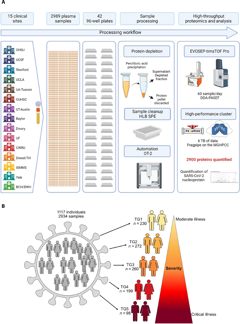 基于高通量LCMS的方法，用于分析數(shù)千個(gè)血漿樣本和隊(duì)列設(shè)計(jì)