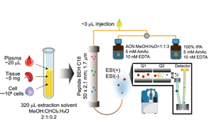 Nature Aging破解衰老的密碼——脂質變化