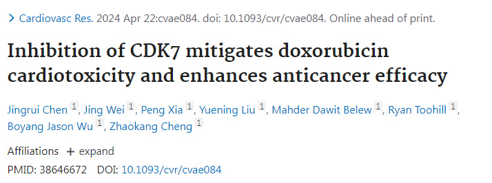 抑制細(xì)胞周期蛋白依賴性激酶7減輕阿霉素的心臟毒性并增強(qiáng)抗癌功效