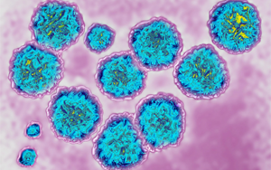 病毒吸收宿主RNA，急性感染可變慢性感染
