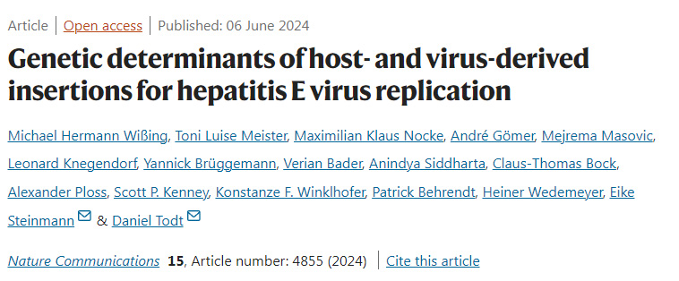 戊型肝炎病毒復(fù)制的宿主和病毒衍生插入物的遺傳決定因素 戊型肝炎病毒復(fù)制的宿主和病毒衍生插入物的遺傳決定因素