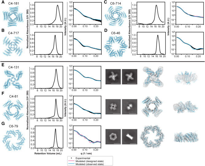 設(shè)計(jì)的蛋白質(zhì)低聚物的生物物理特性 設(shè)計(jì)的蛋白質(zhì)低聚物的生物物理特性