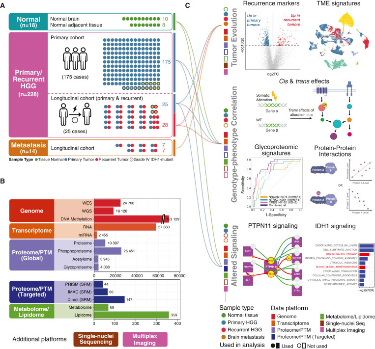 研究對象、技術(shù)平臺和檢測概述