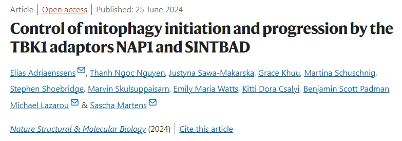 TBK1受體NAP1和SINTBAD對(duì)自噬起始和進(jìn)展的控制 TBK1受體NAP1和SINTBAD對(duì)自噬起始和進(jìn)展的控制
