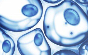 Nature子刊：B細(xì)胞可能是治療癌癥和艾滋病毒的鑰匙