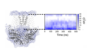 Science子刊重磅：“餓死”肺炎鏈球菌或能保命
