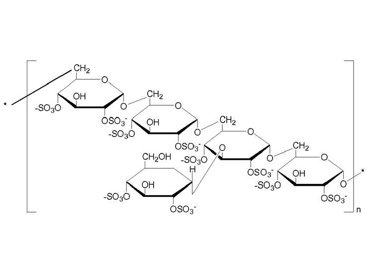硫酸葡聚糖鈉 40,000（DSS）