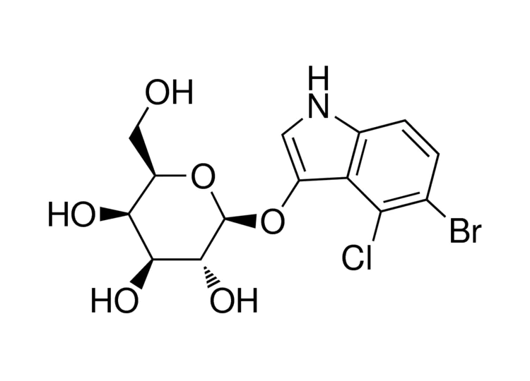 5-溴-4-氯-3-吲哚基-β-D-吡喃半乳糖苷(X-Gal) 5-溴-4-氯-3-吲哚基-β-D-吡喃半乳糖苷(X-Gal)