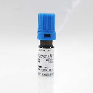 耐熱無(wú)機(jī)焦磷酸酶