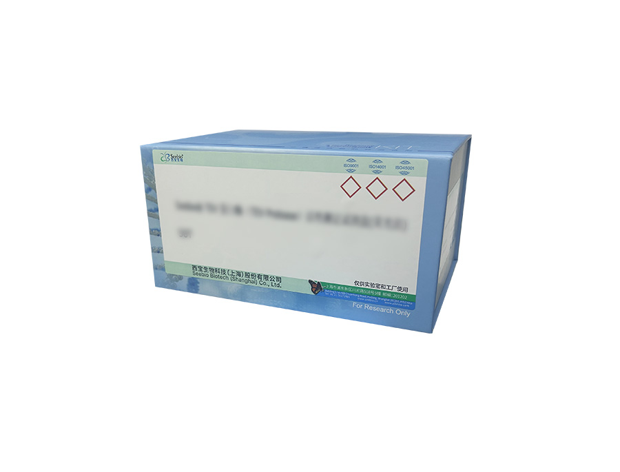 BCA蛋白定量試劑盒 BCA蛋白定量試劑盒